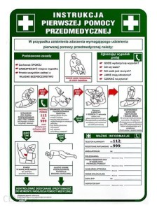 Anro „Instrukcja pierwszej pomocy przedmedycznej”. 250 x 350 mm (Płyta sztywna)
