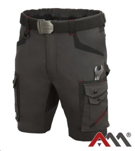 Spodenki PROFESSIONAL 4 DYNAMIC szare nan